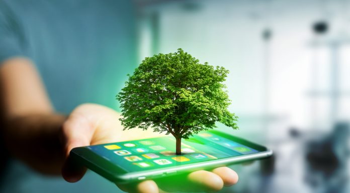 Diego Quan, becado de la Fundación Juan Bautista Gutiérrez, pone el nombre de Guatemala en alto Tecnología y naturaleza