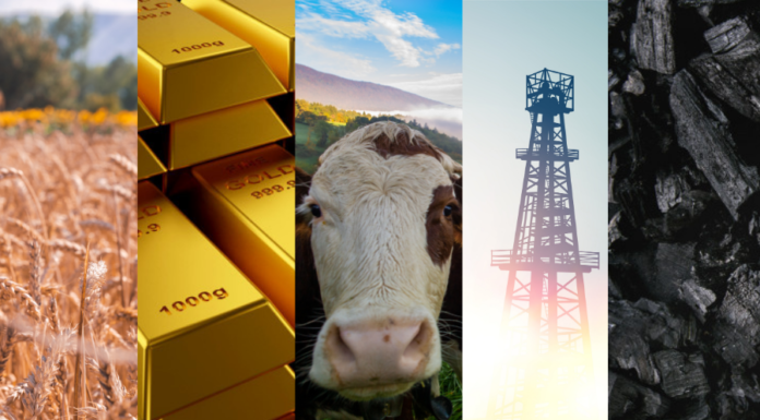 Hablemos de commodities y el reto al que nos enfrentamos