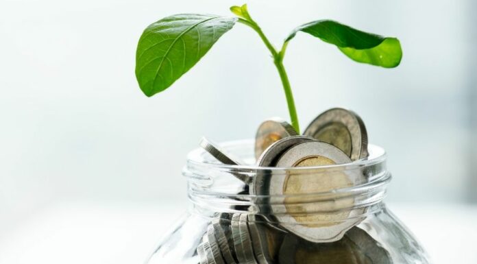 ¿Qué es la economía verde? economia-verde