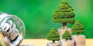 bonos verdes como activos estratégicos
