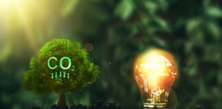 compromiso ambiental de CMI en la región