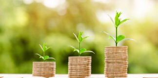 Beneficios de la emisión de bonos verdes