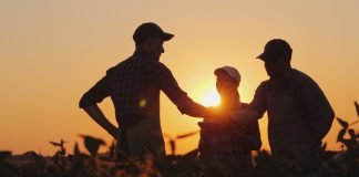 empresas familiares