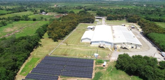 paneles solares