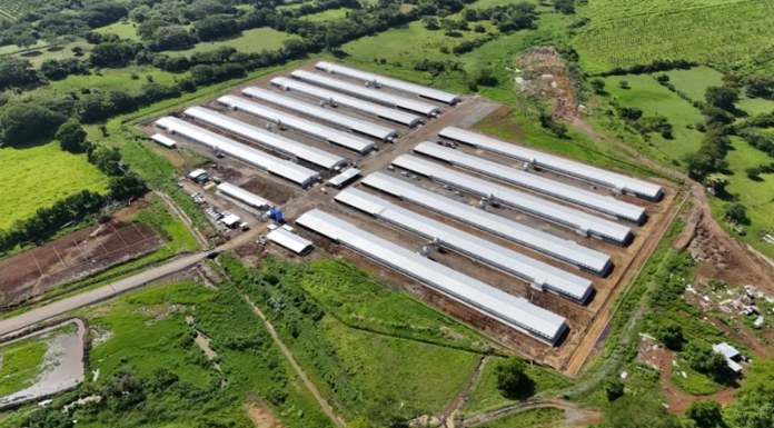 Así es la nueva granja avícola de CMI en Guatemala Granja avicola cmi chiquimulilla guatemala2