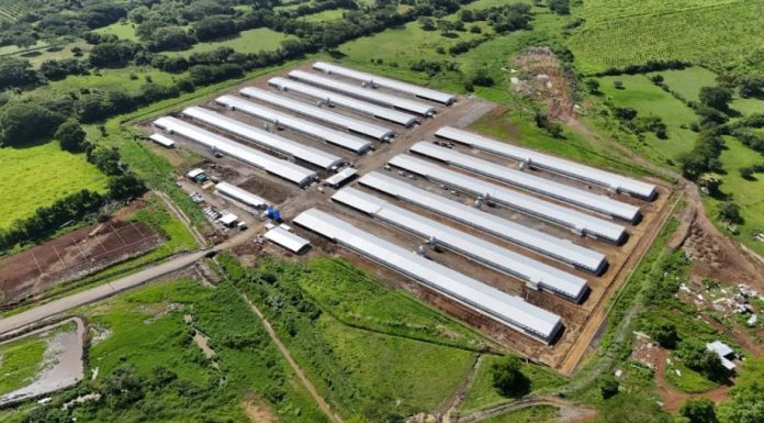 Así es la nueva granja avícola inaugurada por CMI en Guatemala granja chiquimulilla santa rosa