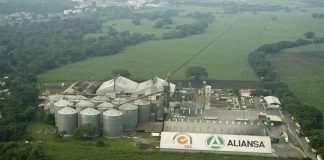 Certificacion Carbono Neutral - CMI Aliansa