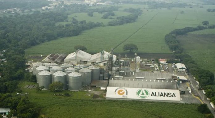 5 plantas de CMI en Guatemala reciben certificación carbono neutral Certificacion Carbono Neutral - CMI Aliansa